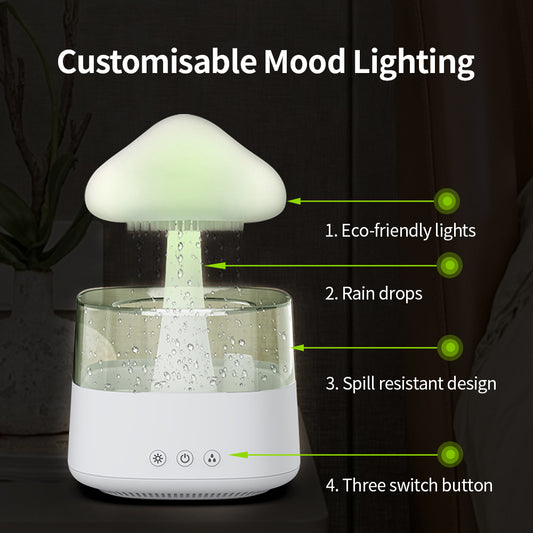 Rain Humidifier