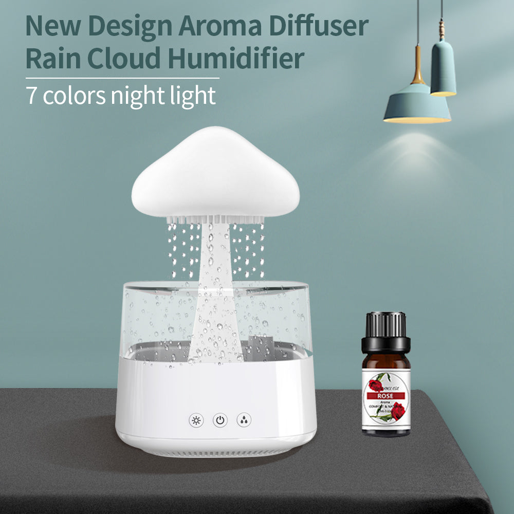 Rain Humidifier