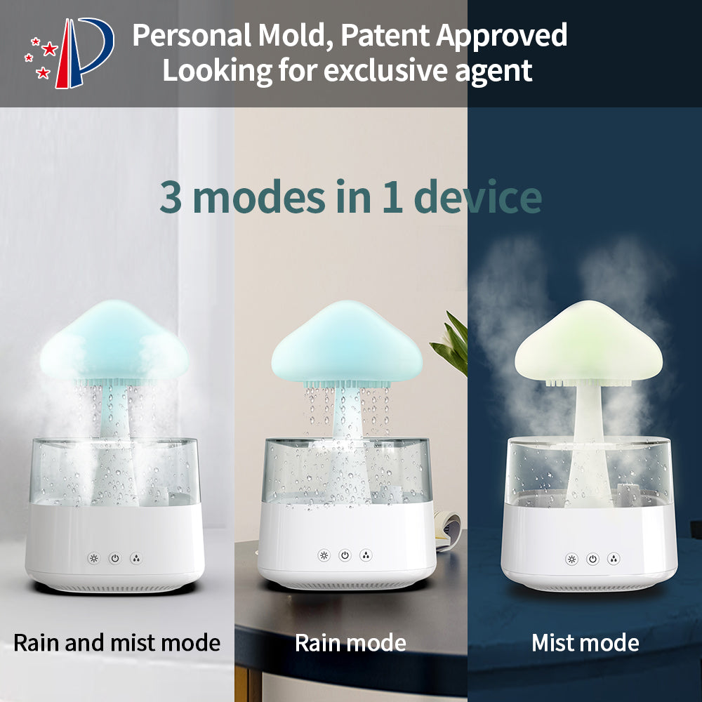 Rain Humidifier